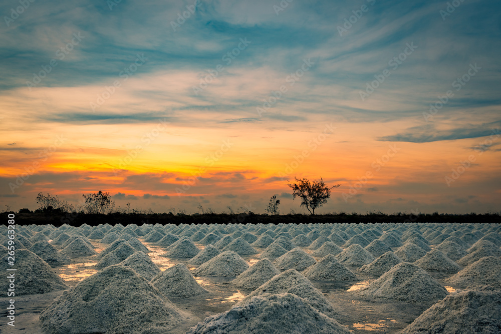 Naklejka premium Salt farm in the morning with sunrise sky. Organic sea salt. Evaporation and crystallization of sea water. Raw material of salt industrial. Sodium Chloride. Solar evaporation system. Iodine salt.