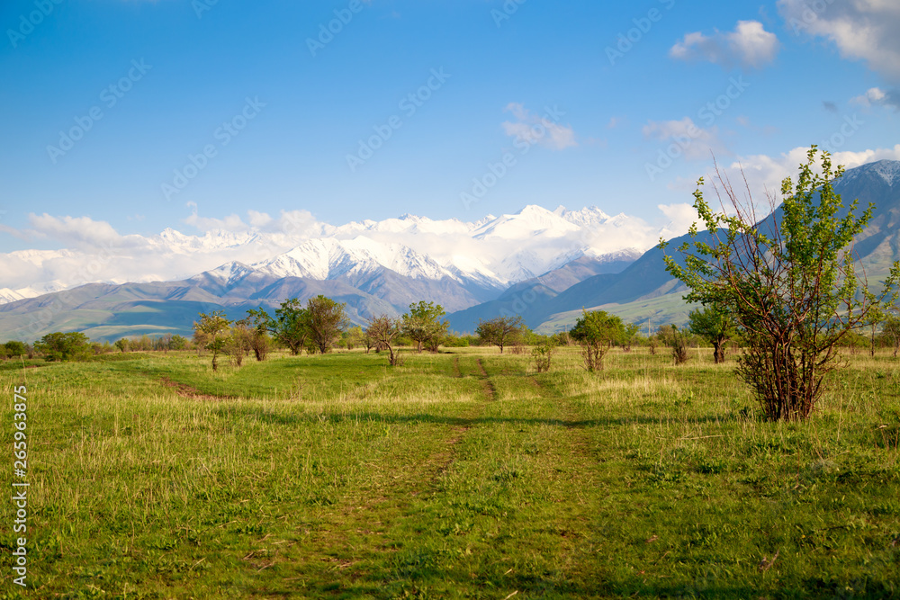 Beautiful spring and summer landscape. Lush green hills, high snowy mountains. Country road. Blue sky and white clouds. Background for tourism and travel.