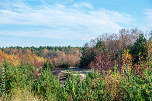 empty dunes by the sea side in early spring