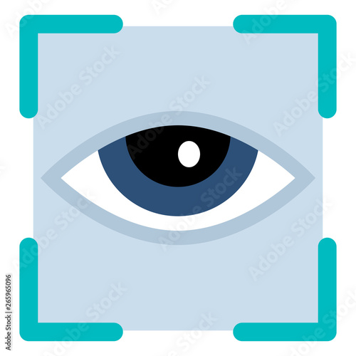 Vector Color Flat Icon - Human Eye in Frame