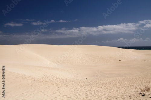 Bright shining white edge of sand dune contrasting against deep blue sky  Corralejo  Fuerteventura  Canary Islands