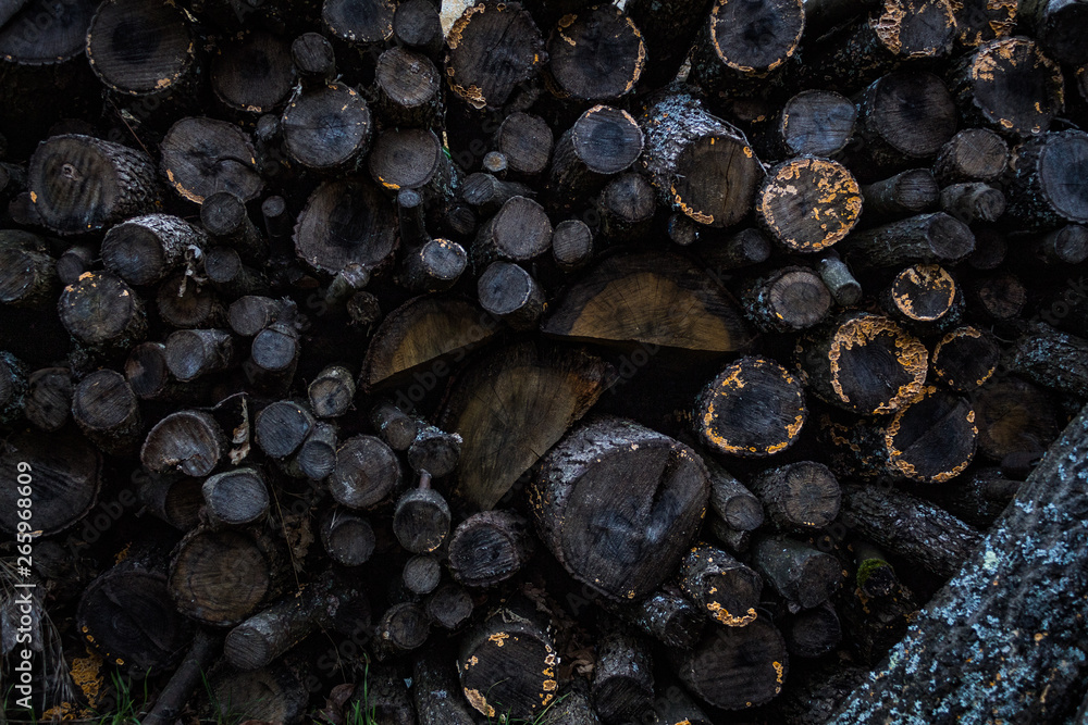 Logs Logs