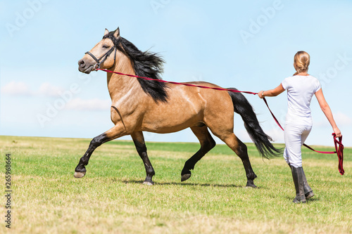 Woman lunging a horse