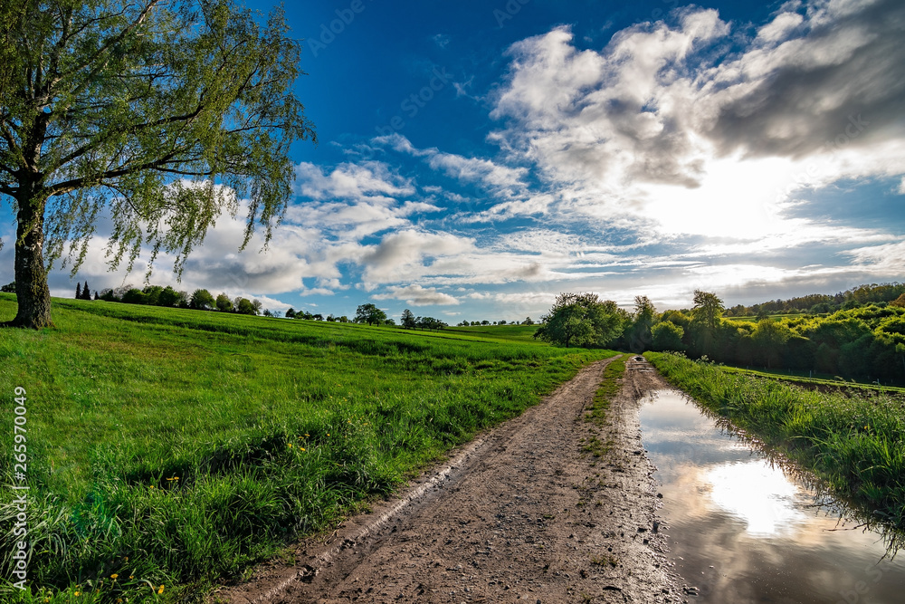 The muddy path in the fields after the rain with a blue sky and some clouds in it