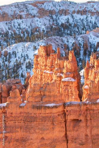 Golden early morning sun light on a natural red rock formations found in Bryce Canyon National Park in the American southwest. 