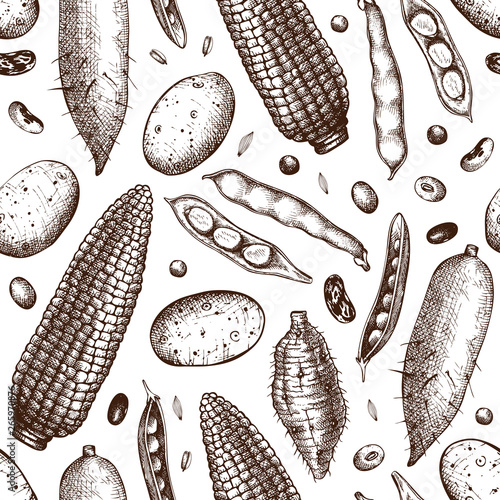 Roots seeds beans pattern1