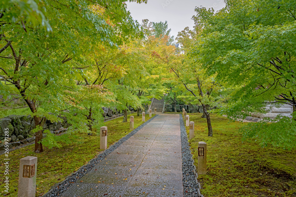 Obraz premium 智積院 参道風景