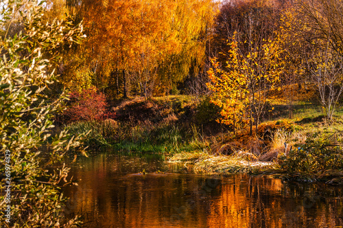 Beautiful autumn park with colorful trees reflected in the water