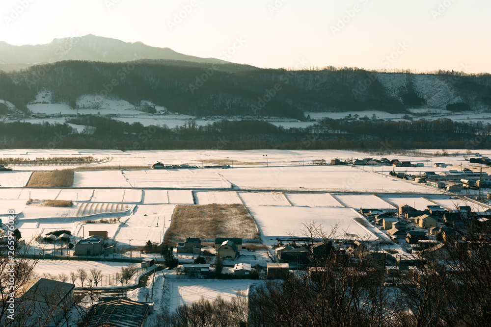 北海道・冬、早朝の田園風景