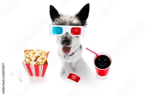 dog to the movies photo