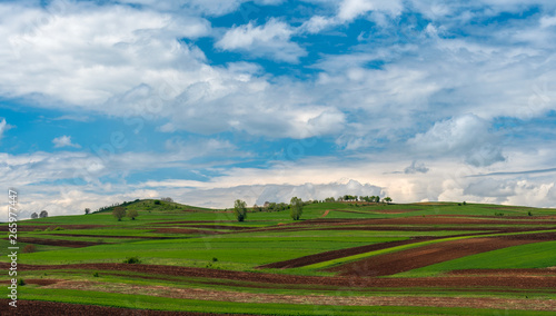 Spring green field agriculture land white puffy clouds 