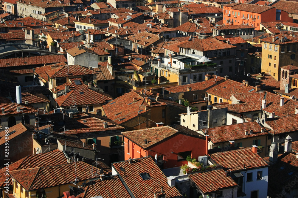 View over the rooftops of the city of Verona