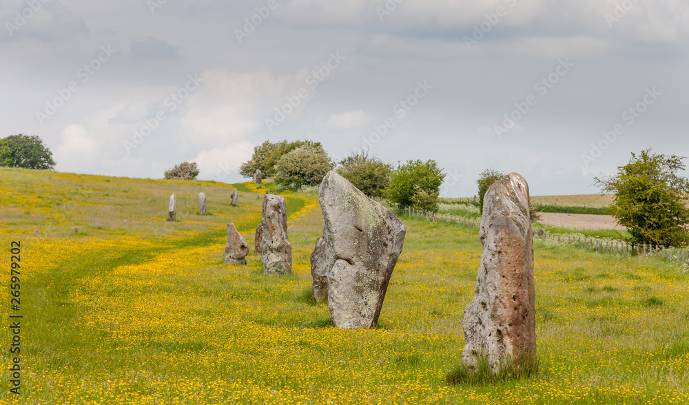 Details of stones and the environs in the Prehistoric Avebury Stone Circle, Wiltshire, England, UK