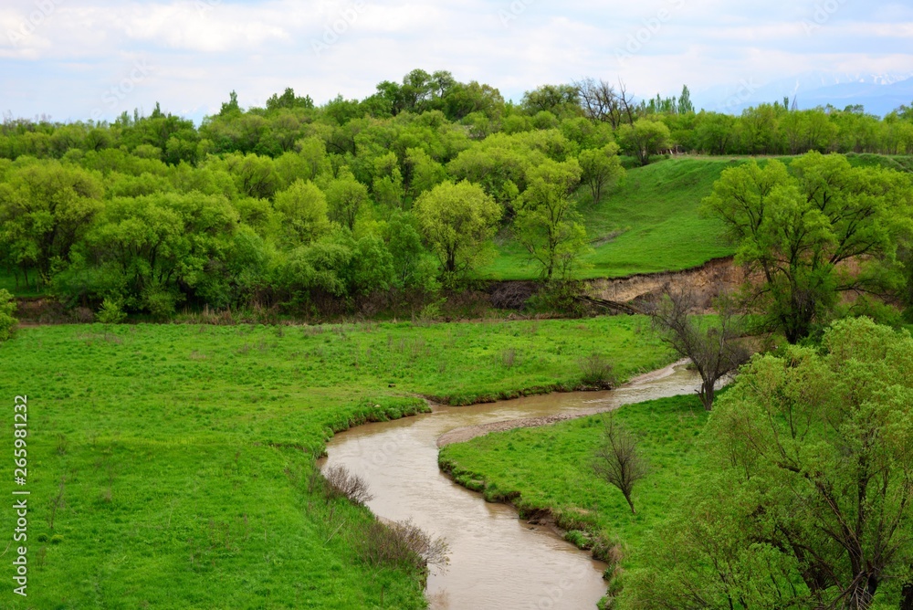 Green meadows of Kazakhstan in the rural Almaty