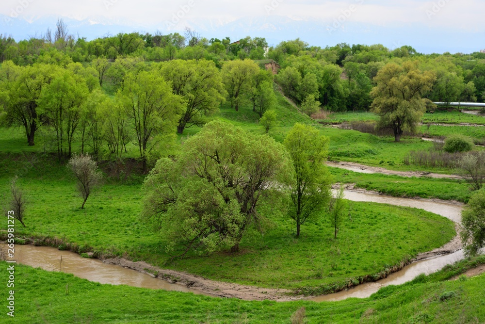 Green meadows of Kazakhstan in the rural Almaty