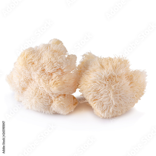 Yamabushitake mushroom or lion mane mushroom isolated over white background.