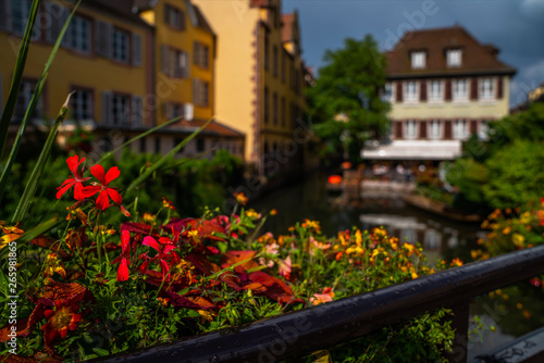View of the most characteristic and particular city of Southern France with its houses that recall distant times. Floral traditional town Colmar with charming old streets in Alsace region.