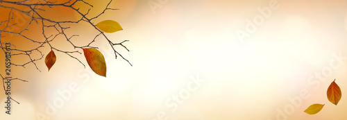 Dry twigs with colorful lea...