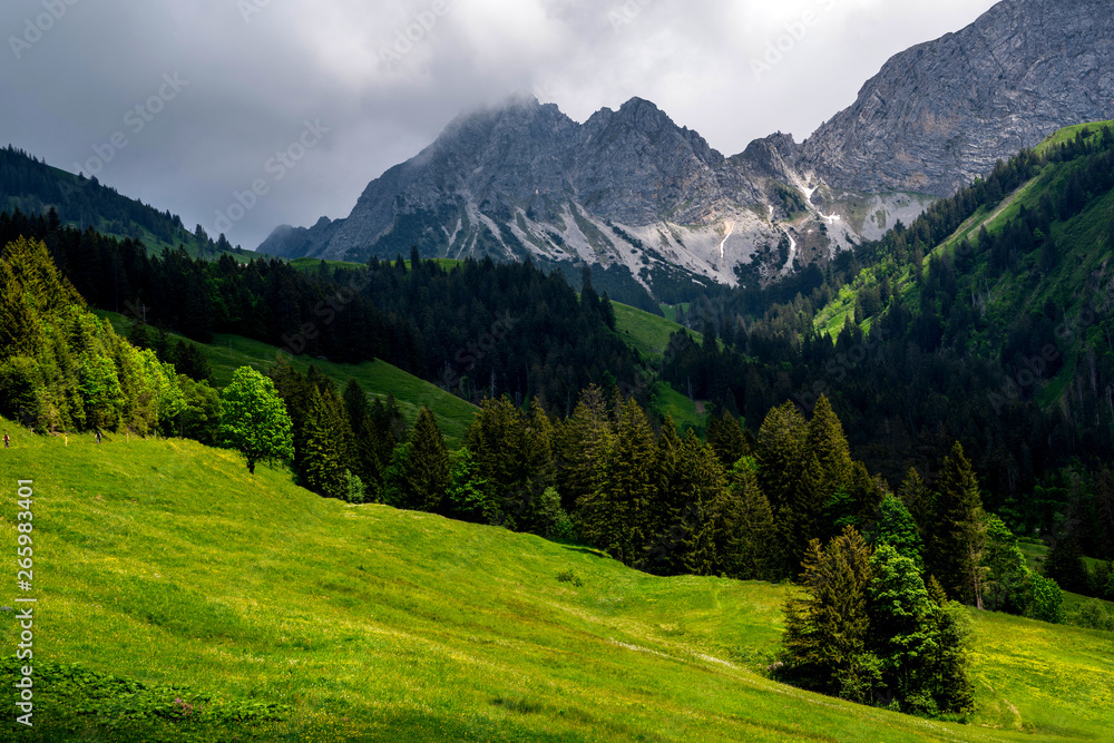 Alpine spring landscape with peaks covered by snow and clouds. View of idyllic mountain scenery in the Swiss Alps with fresh green meadows in a beautiful day in springtime.