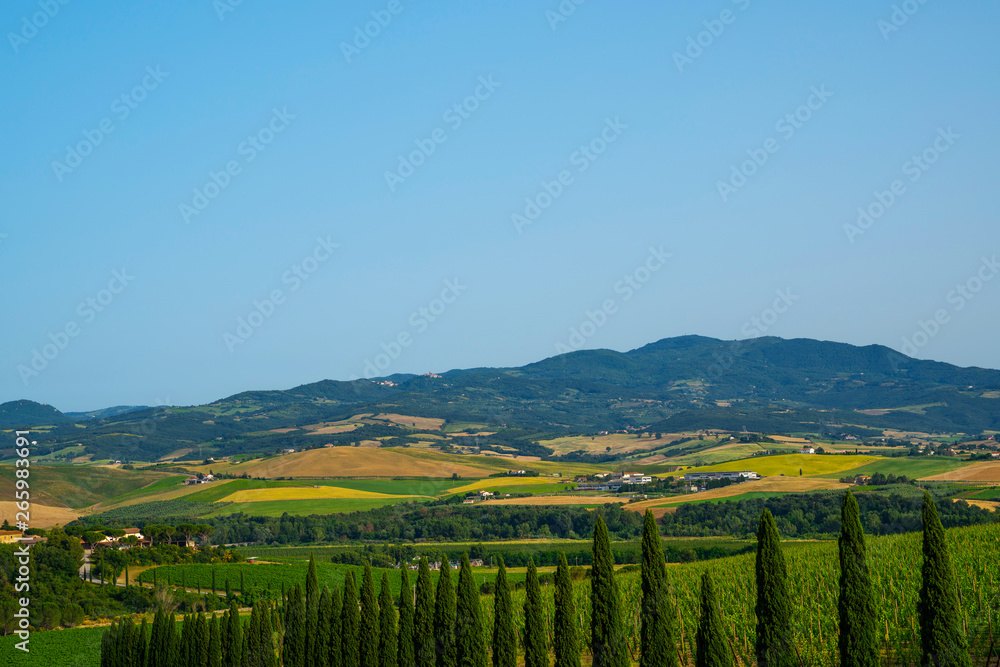 Unique tuscany landscape in summer time - wave hills, cypresses trees and beautiful colors of sky. Tuscany, Italy, Europe. Summer, holiday, traveling concept.