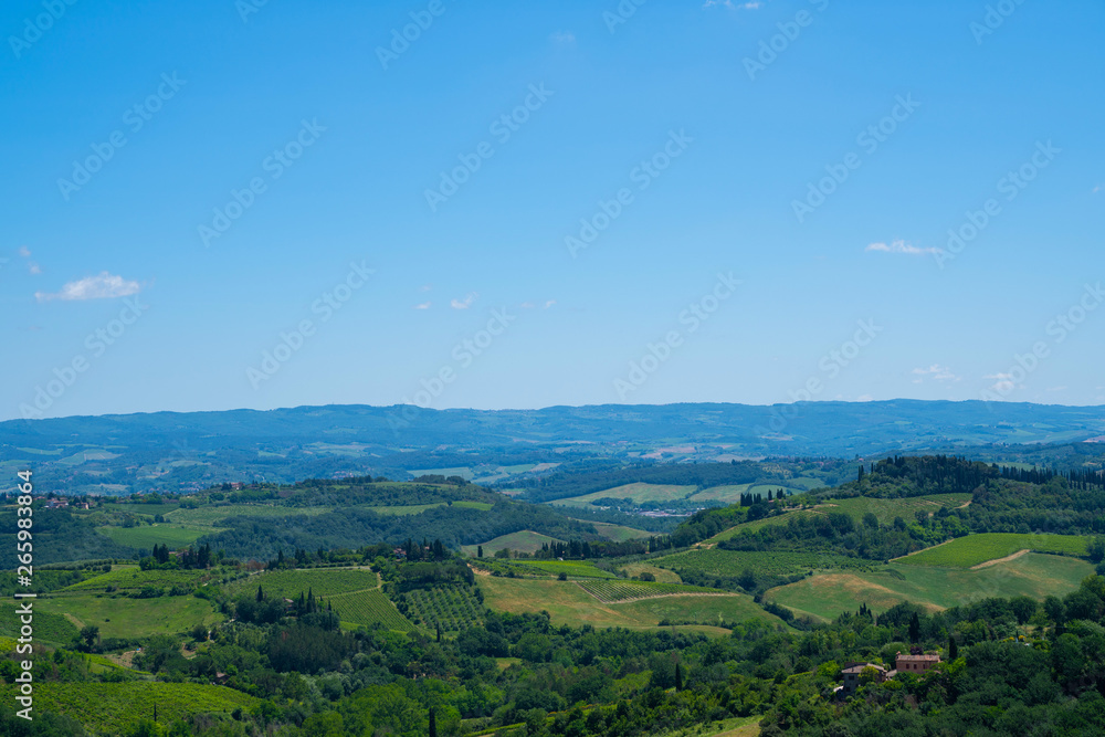 Beautiful landscape of vineyards. Chianti region in summer season. View of countryside and chianti vernaccia vineyards from San Gimignano. Tuscany, Italy, Europe. Summer, holiday, traveling concept.