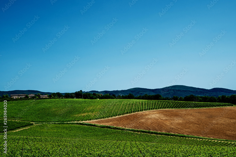Chianti region in summer season. View of countryside and Chianti vineyards from San Gimignano. Tuscany, Italy, Europe. Travel. Beautiful destination. Holiday outdoor vacation trip. Chianti region in summer season. View of countryside and Chianti vineyards from San Gimignano. Tuscany, Italy, Europe. Travel. Beautiful destination. Holiday outdoor vacation trip.