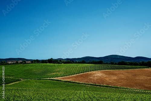 Chianti region in summer season. View of countryside and Chianti vineyards from San Gimignano. Tuscany, Italy, Europe. Travel. Beautiful destination. Holiday outdoor vacation trip.