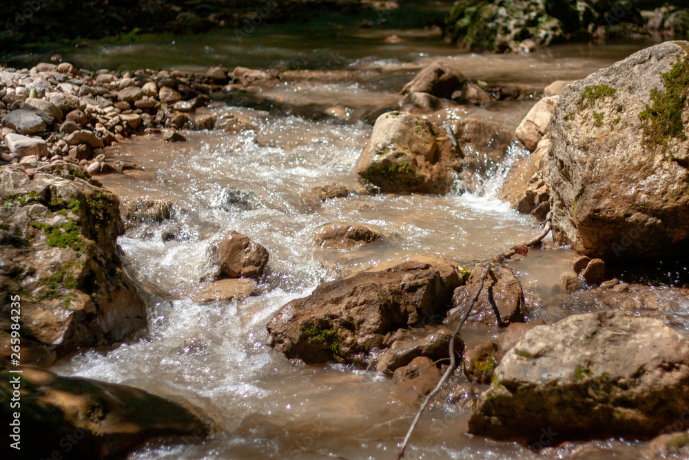 The mountain river flows among the stones in the gorge in the summer. Green moss grows on the stones. Slow flow of the river among the stones. The mountain river flows among the stones in the gorge in the summer. Green moss grows on the stones. Slow flow of the river among the stones.