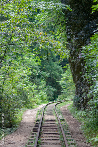 View of the narrow gauge railway in the mountains. Old railroad track among green trees in the mountains on a summer day.