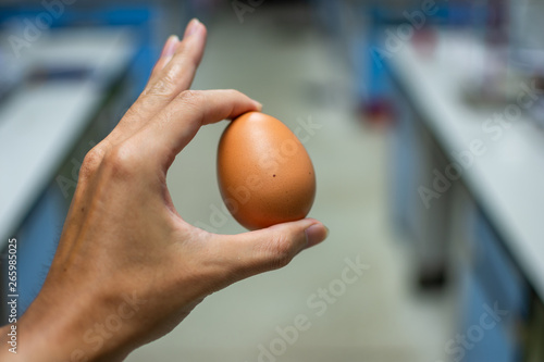 Hand holding an egg on blurred background. decoration image contain certain grain and noise.