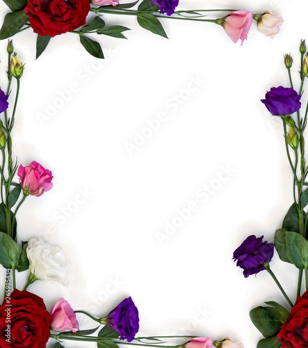 Frame of violet  white  pink and red flowers Eustoma   Texas bluebells  bluebell  lisianthus  prairie gentian   and red rose on a white background with space for text. Top view  flat lay
