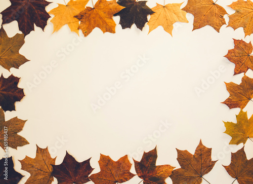 Frame made of autumn dried leaves on pastel background. Flat lay, top view, copy space.