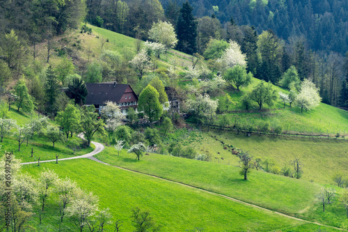 Schwarzwaldhof bei Ottenhöfen