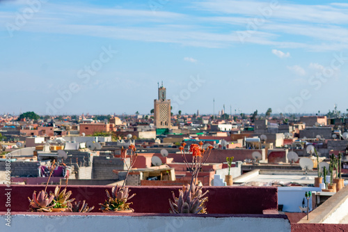 Three Potted Plants on a Rooftop in the Medina of Marrakech Morocco with a Mosque Minaret in the distance