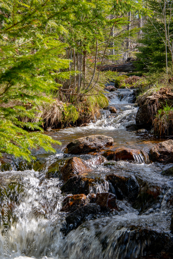 Fototapeta premium am Fuße des Rachel
