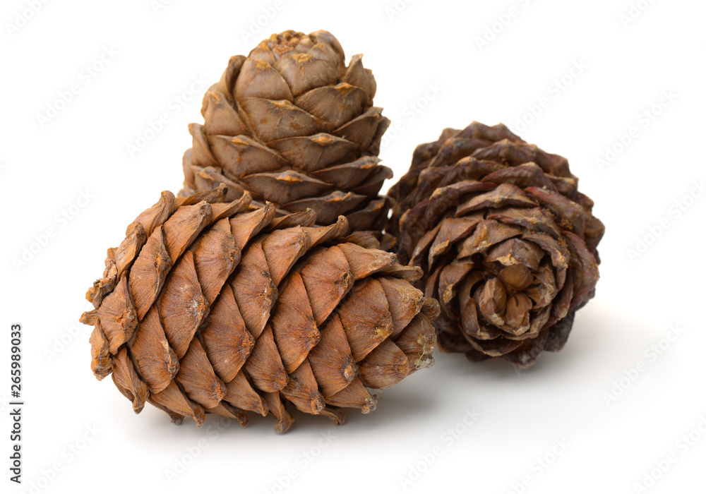 Ripe pine cones full of nuts Ripe pine cones full of nuts