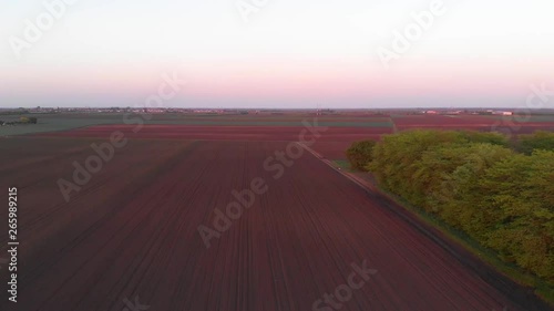Footage from drone of field with fresh green plant