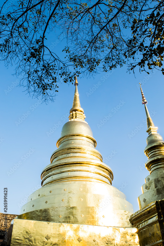 Fototapeta premium View of Wat Phra Singh with the golden pagoda, the popular historical landmark temple in Chiang Mai, Thailand