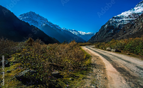  View of alps in Yumthang valley 