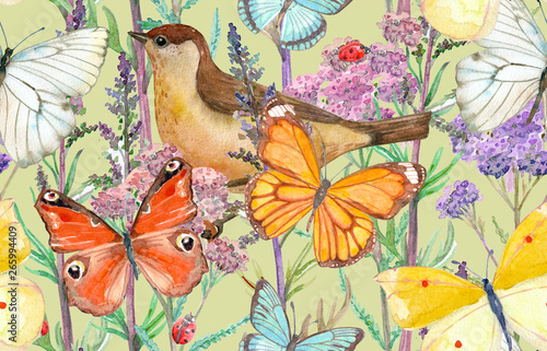 colorful seamless texture with meadow flowers  butterflies and pretty bird. watercolor painting