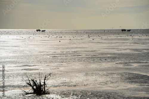 Horse carriage ride on the wadden sea, Sunset on the beach