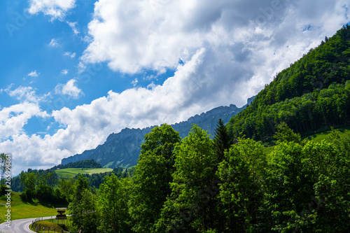 Switzerland. Mountains and nature. Concepts about traveling and wanderlust. Meadows of green grass and flowers in the Swiss mountains after a summer rain with huge clouds. © eskstock