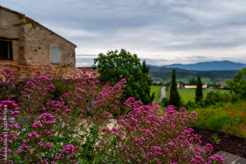 Flowers of old French house. Picturesque typical french rural house decorated with green plants and flowers. Garden with colorful plants in summer season.