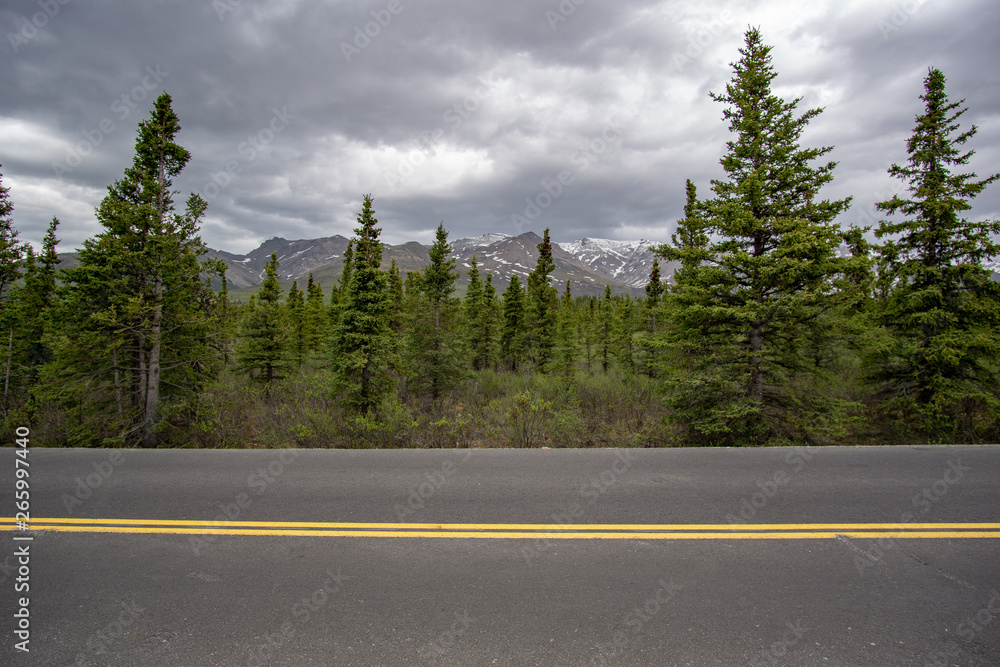 Naklejka premium Alaska bei Denali
