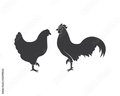 chicken vector illustration