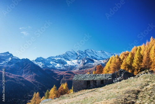 The pasture in the Alps