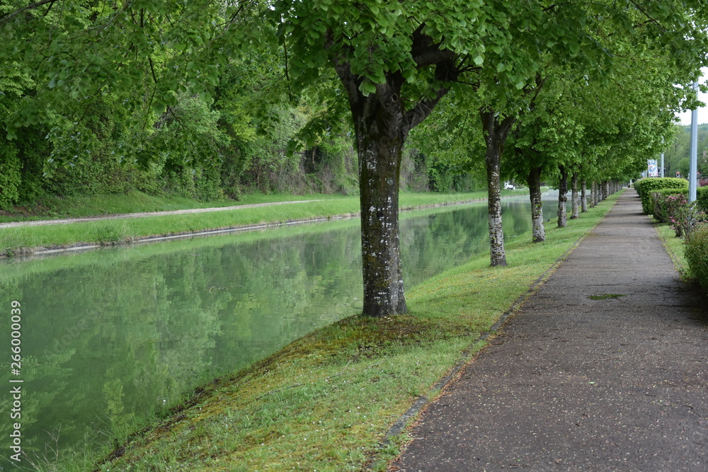 Obraz premium Chemin en bord de rive