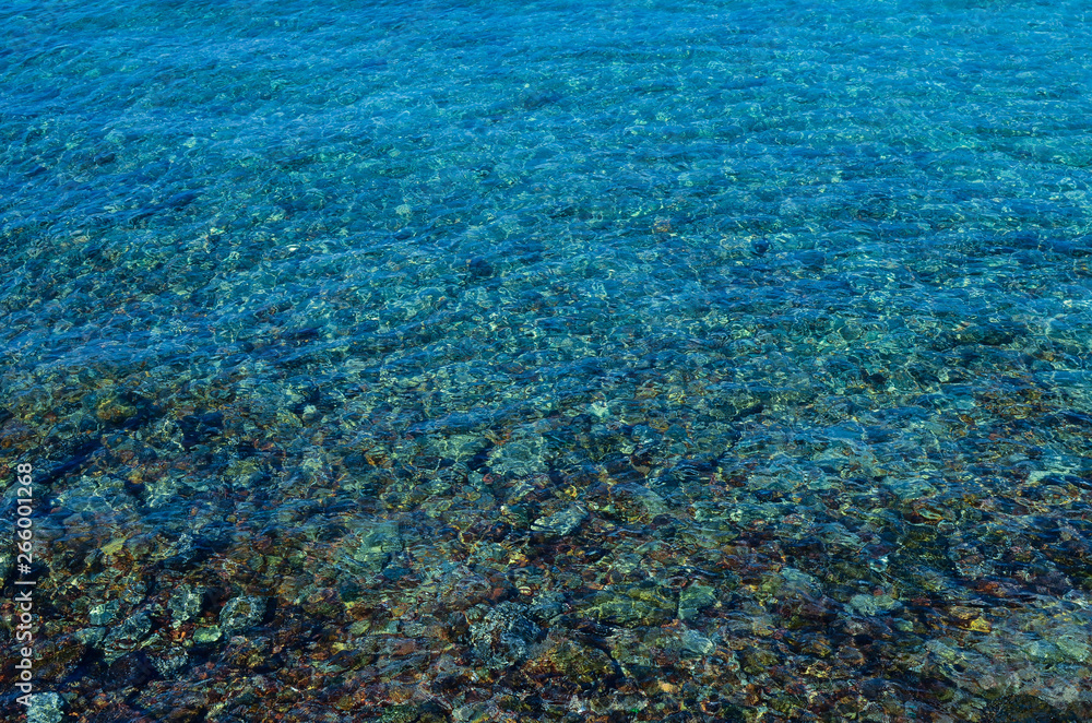 Fototapeta premium blue water background of sea, underwater