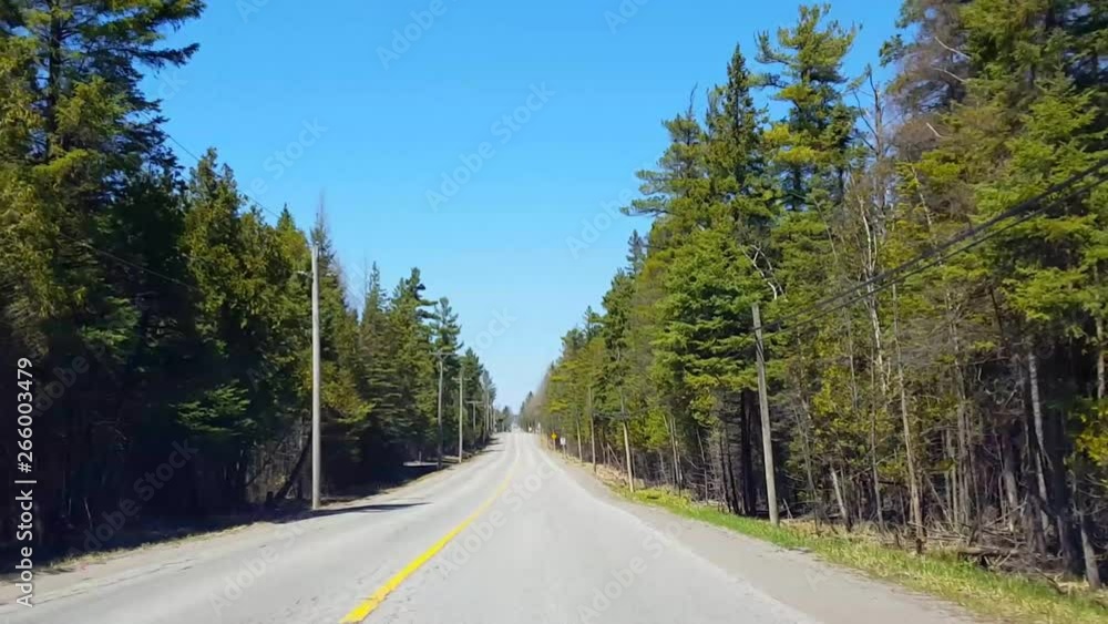 Driving Countryside Forest During Spring Day. Driver Point of View POV Along Beautiful Sunny Woodland Trees Scenery. Driving Countryside Forest During Spring Day. Driver Point of View POV Along Beautiful Sunny Woodland Trees Scenery.