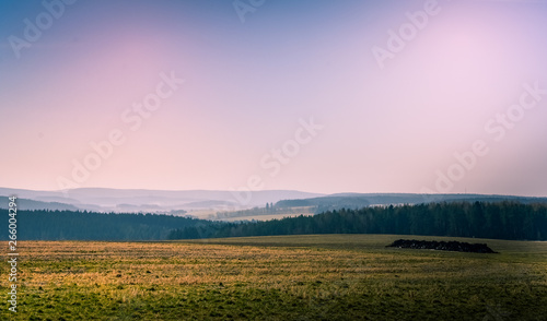 landscape with field and clear evening sky